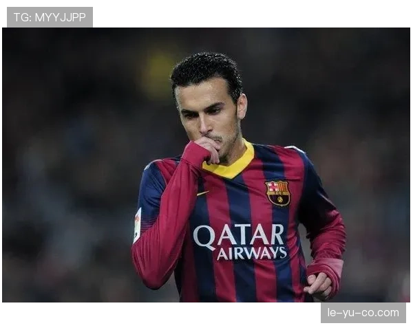 若昂·佩德罗闪耀英超赛场，关键进球助球队力克强敌