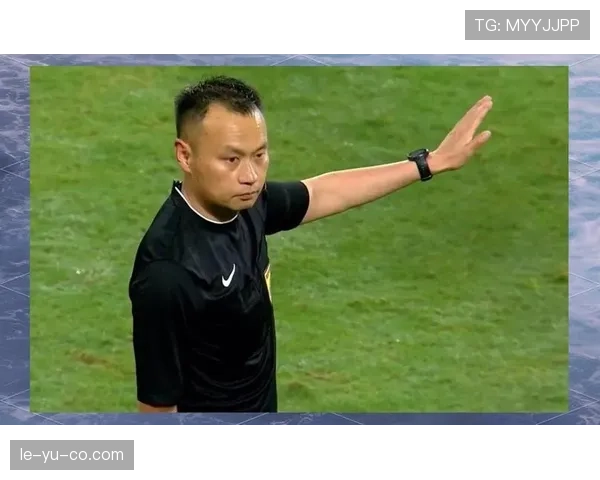 中超新裁判名单公布，助力联赛公正竞争获赞