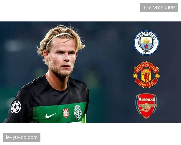 霍伊别尔：中场防线的坚实堡垒，防守强度提升成球队新亮点