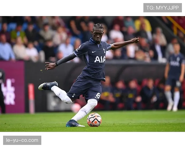 热刺阵容年轻化明显，稳定性不足是否制约赛季走势？